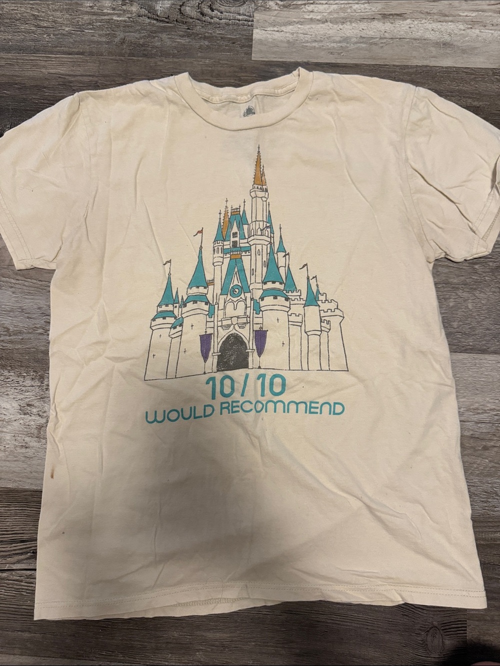 Disney World Shirt